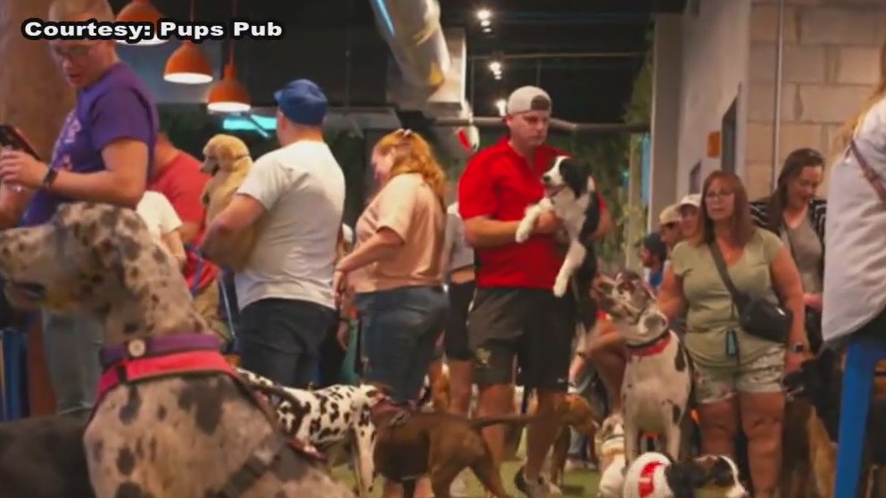 Florida dog bar facing legal battle